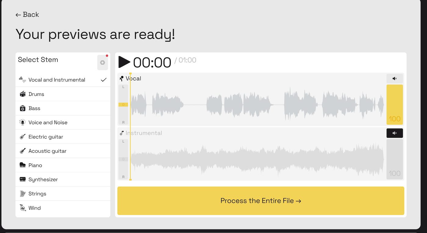 Lalal.ai Screenshot showing generated previews for selected stems, including Vocal and Instrumental tracks, with an option to process the entire file.